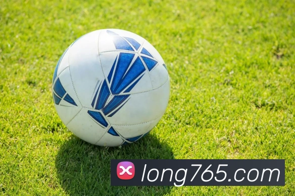 龙8-long8(国际)官方网站APP 封面图